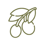 Icona Olio 1