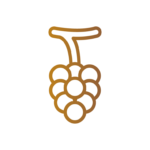 Icona Vino 1